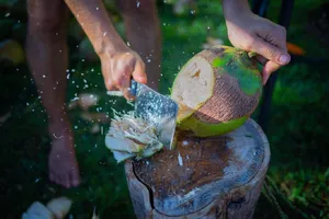 Coconut Water 16 oz