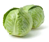 Cabbage ( Green )