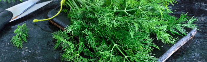 Thyme