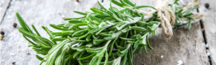 Fresh Curry Leaves